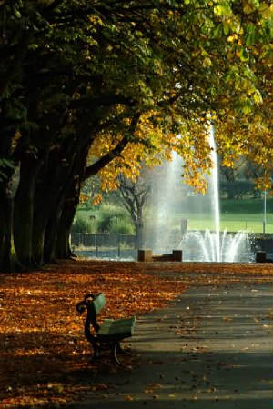 autumnpark2.jpg